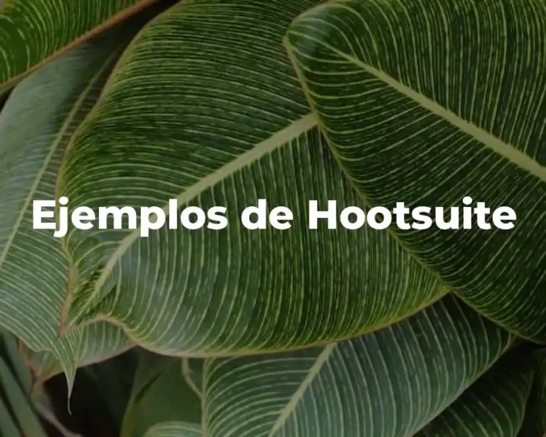 Ejemplos de Hootsuite