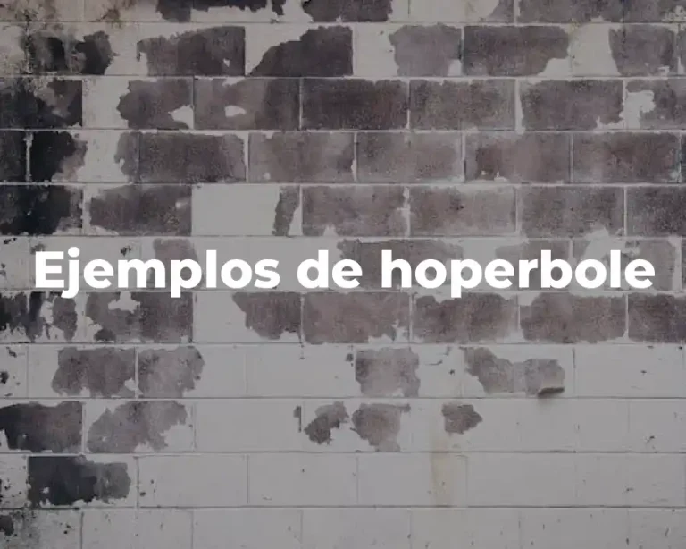 Ejemplos de hoperbole