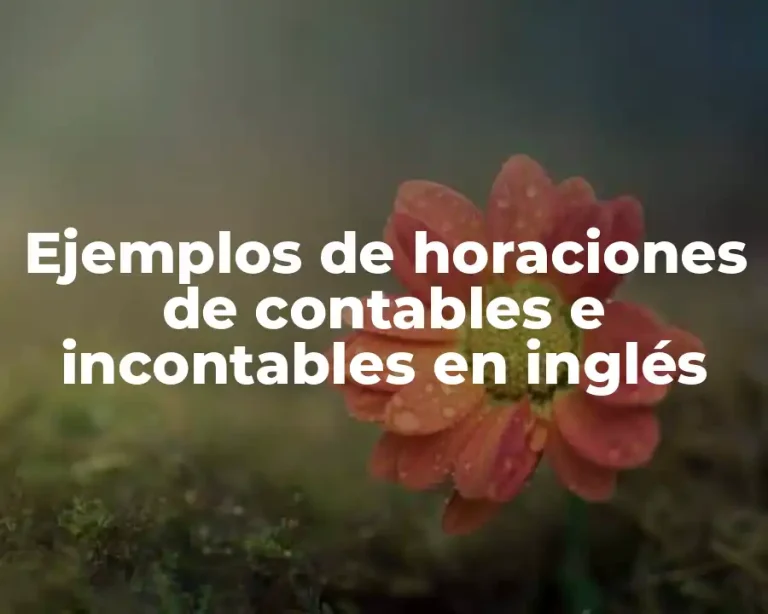 Ejemplos de horaciones de contables e incontables en inglés