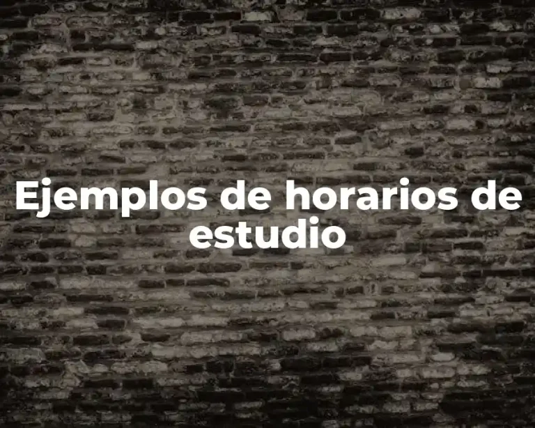 Ejemplos de horarios de estudio
