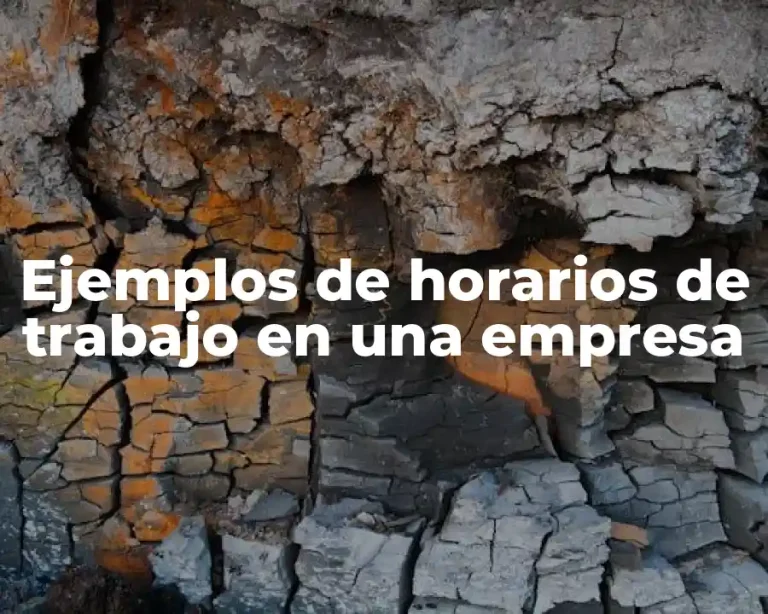 Ejemplos de horarios de trabajo en una empresa