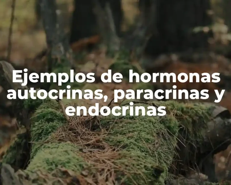 Ejemplos de hormonas autocrinas, paracrinas y endocrinas