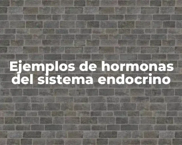 Ejemplos de hormonas del sistema endocrino