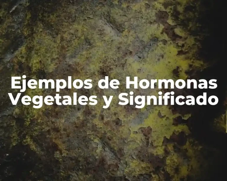 Ejemplos de Hormonas Vegetales y Significado
