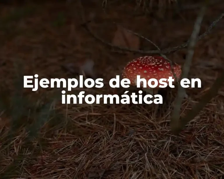 Ejemplos de host en informática