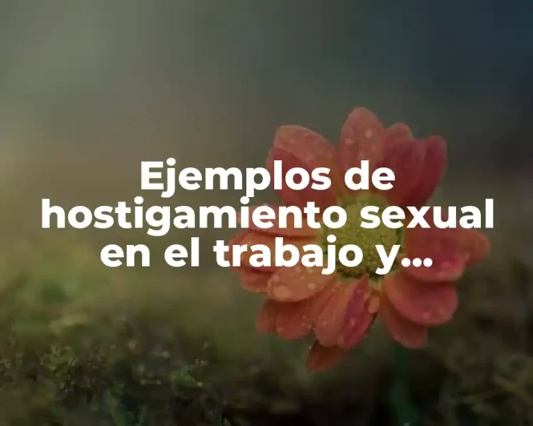 Ejemplos de hostigamiento sexual en el trabajo y Significado