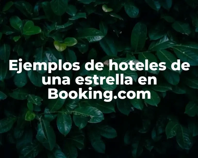 Ejemplos de hoteles de una estrella en Booking.com