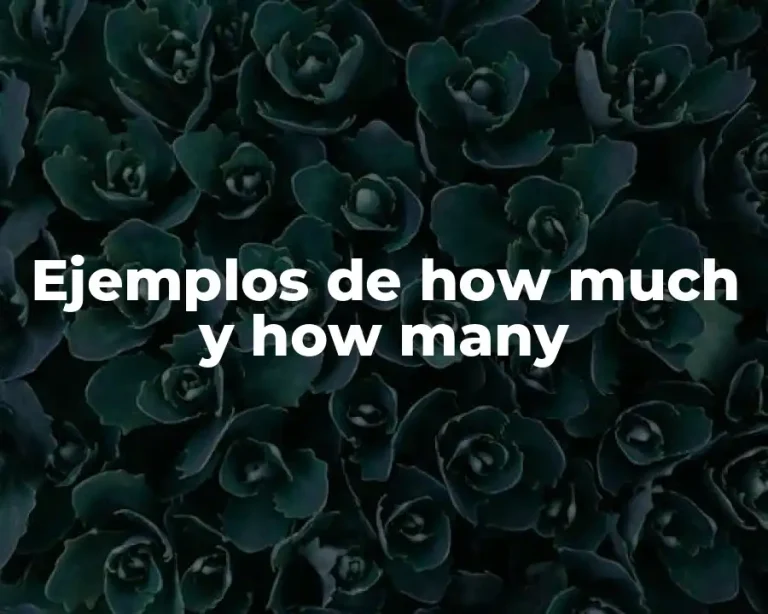 Ejemplos de how much y how many