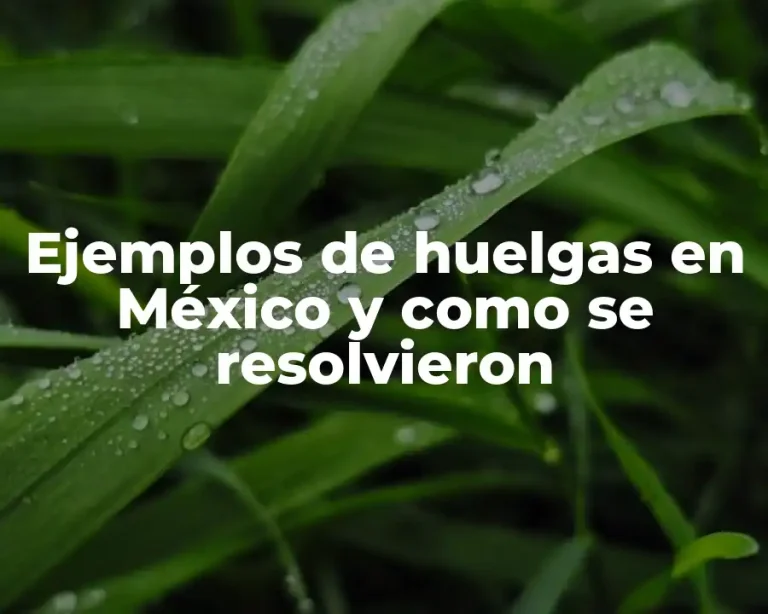 Ejemplos de huelgas en México y como se resolvieron