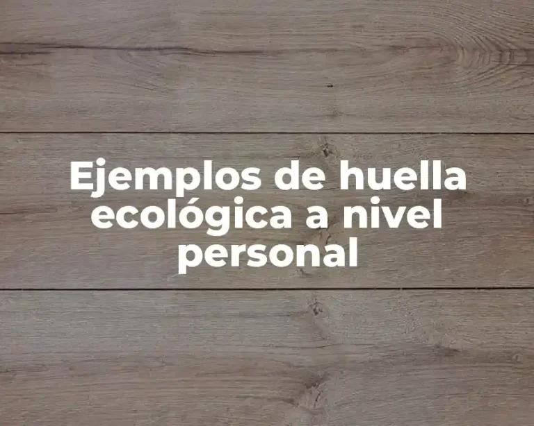 Ejemplos de huella ecológica a nivel personal