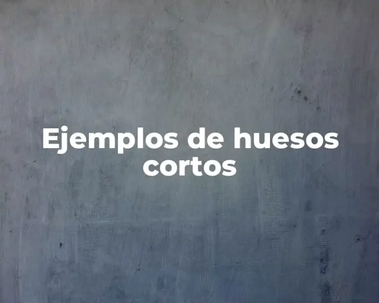 Ejemplos de huesos cortos