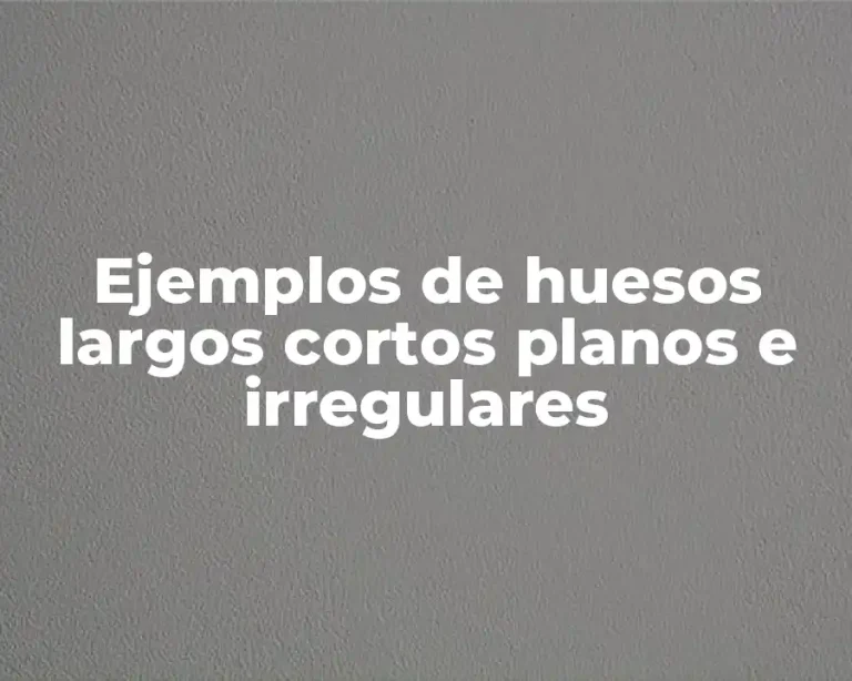 Ejemplos de huesos largos cortos planos e irregulares