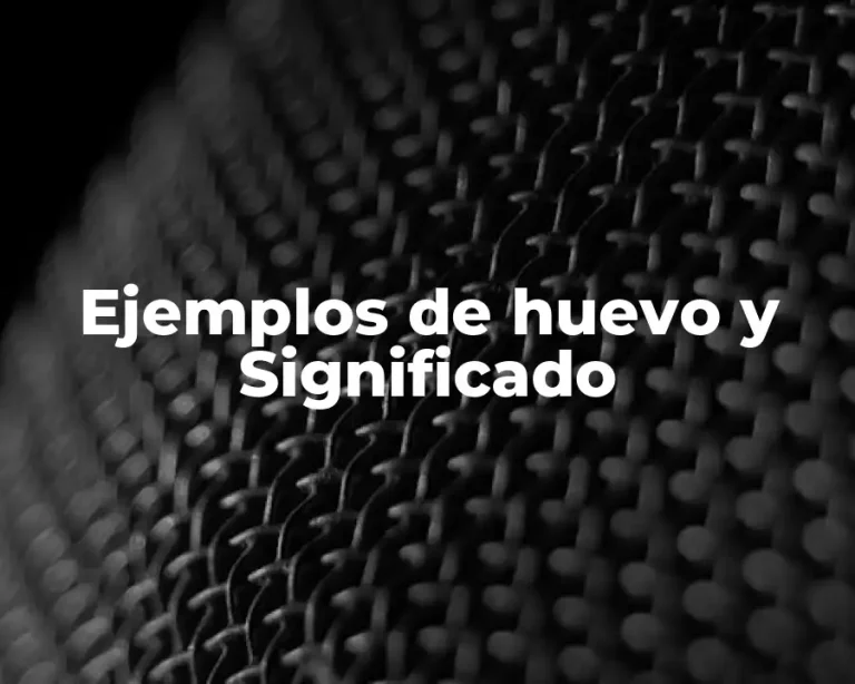 Ejemplos de huevo y Significado