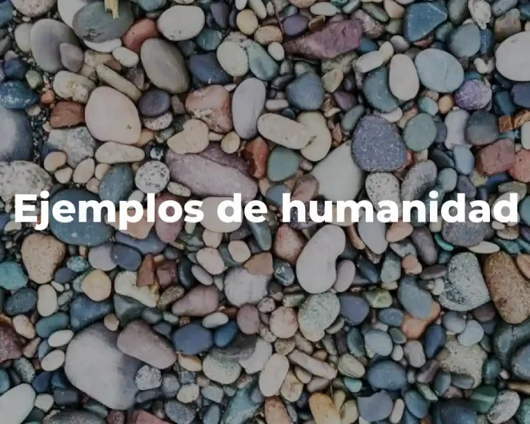 Ejemplos de humanidad