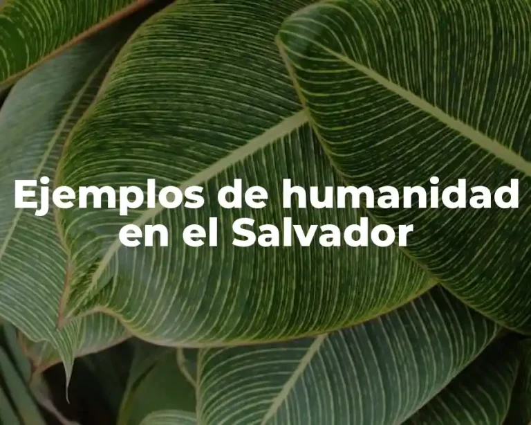 Ejemplos de humanidad en el Salvador