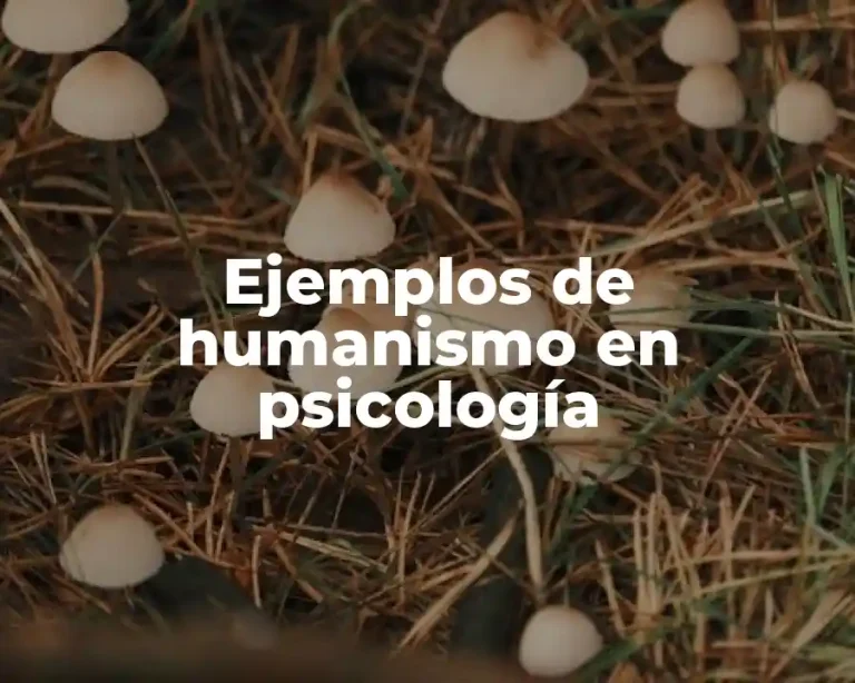 Ejemplos de humanismo en psicología