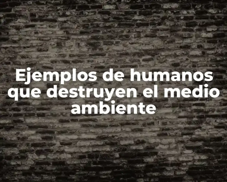 Ejemplos de humanos que destruyen el medio ambiente