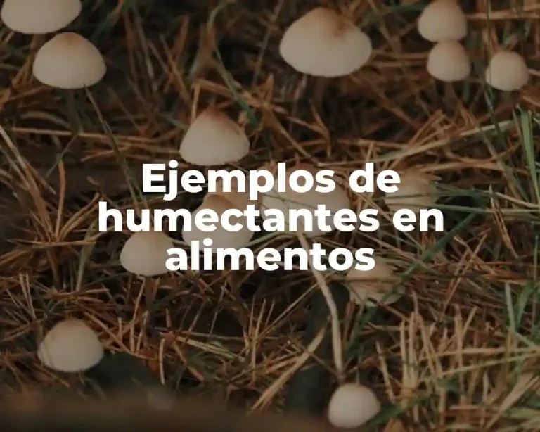 Ejemplos de humectantes en alimentos