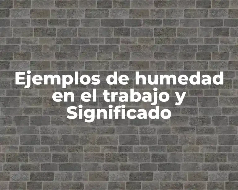 Ejemplos de humedad en el trabajo y Significado