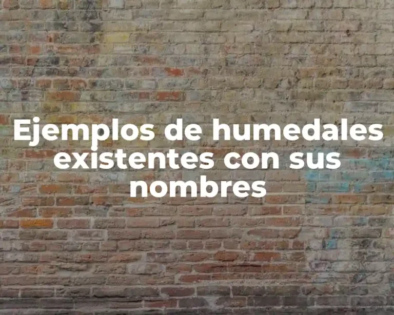 Ejemplos de humedales existentes con sus nombres
