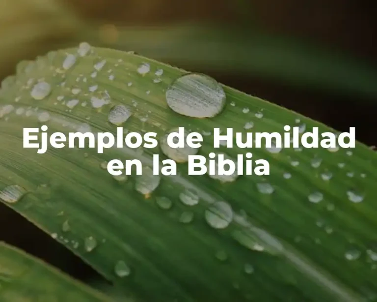 Ejemplos de Humildad en la Biblia