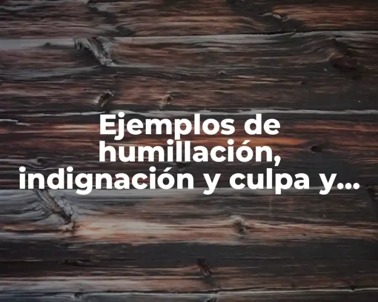 Ejemplos de humillación, indignación y culpa y Significado