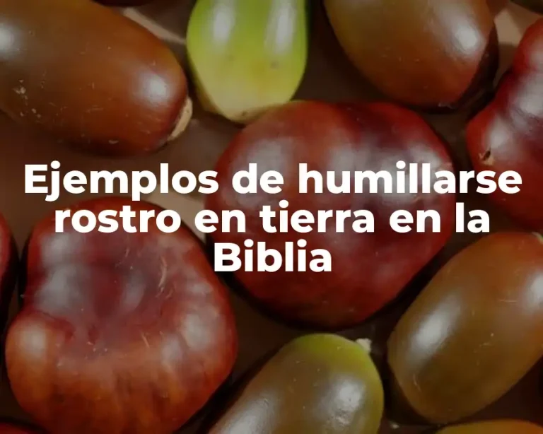 Ejemplos de humillarse rostro en tierra en la Biblia