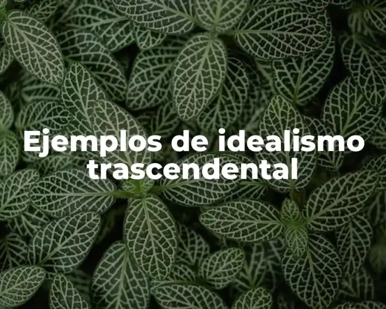Ejemplos de idealismo trascendental