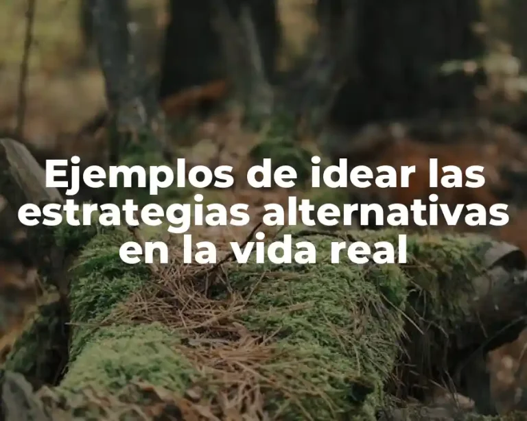 Ejemplos de idear las estrategias alternativas en la vida real
