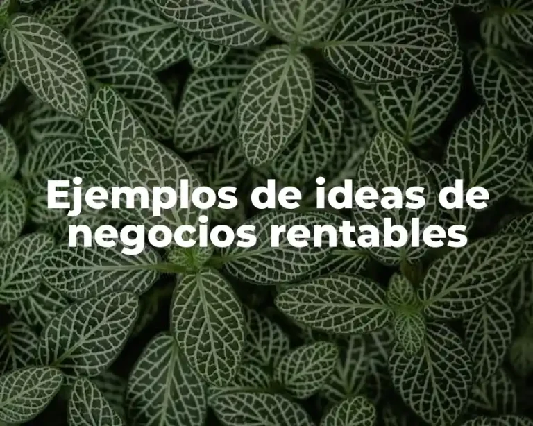 Ejemplos de ideas de negocios rentables