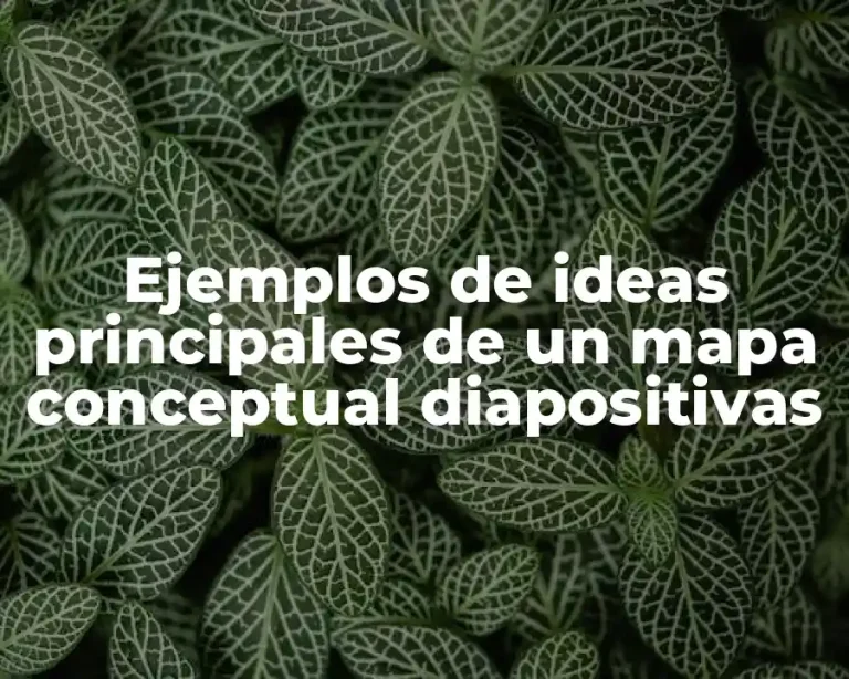 Ejemplos de ideas principales de un mapa conceptual diapositivas