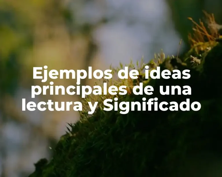 Ejemplos de ideas principales de una lectura y Significado