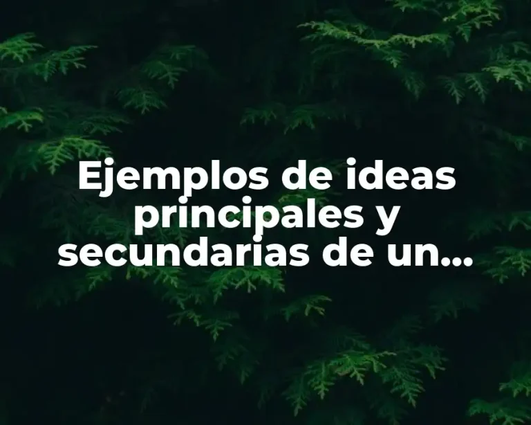 Ejemplos de ideas principales y secundarias de un párrafo