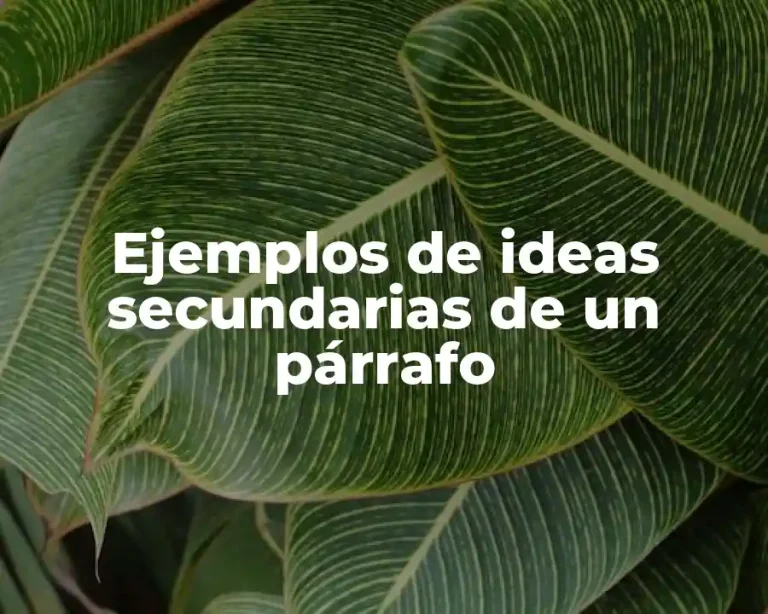 Ejemplos de ideas secundarias de un párrafo