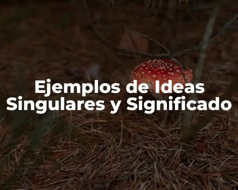 Ejemplos de Ideas Singulares y Significado