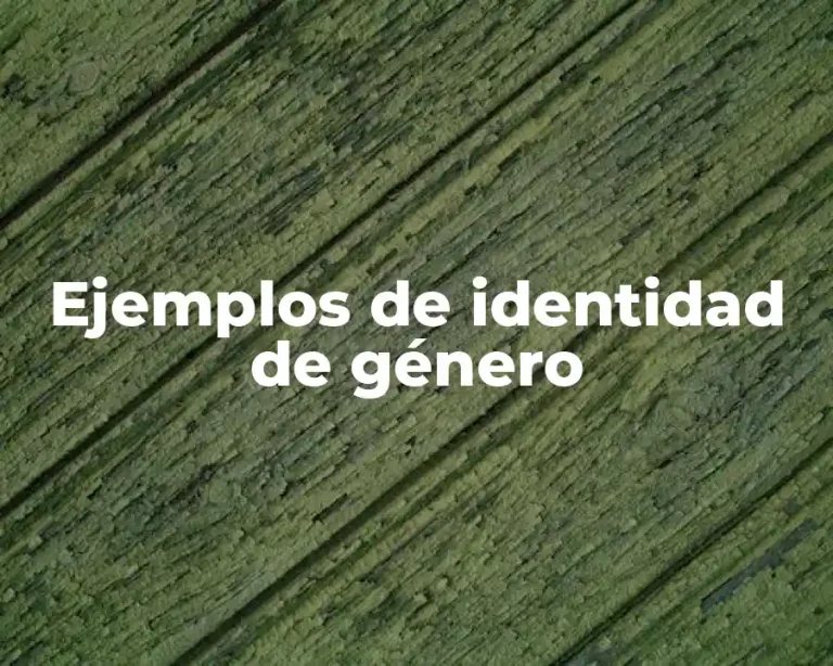 Ejemplos de identidad de género