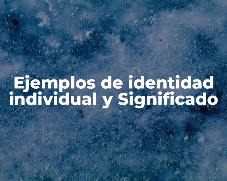 Ejemplos de identidad individual y Significado