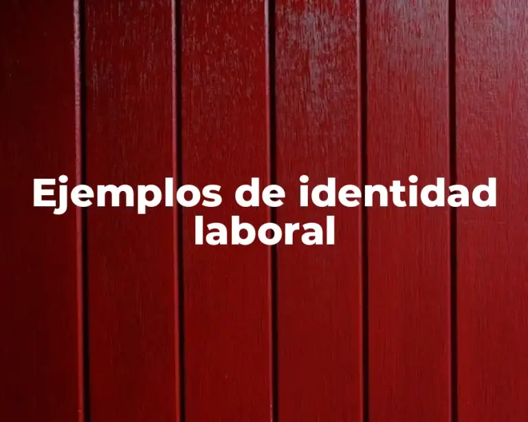 Ejemplos de identidad laboral