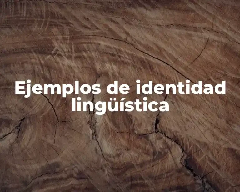 Ejemplos de identidad lingüística