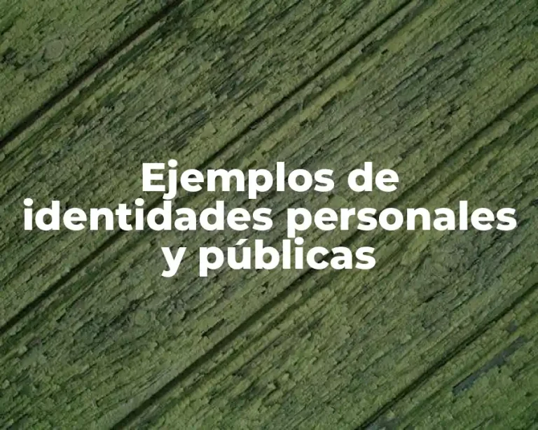 Ejemplos de identidades personales y públicas