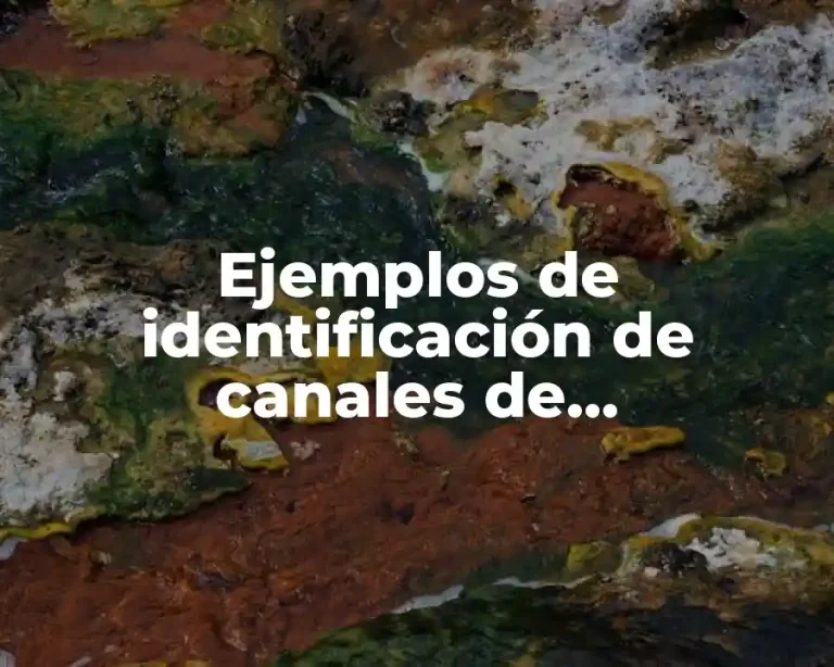 Ejemplos de identificación de canales de comunicación de una marca