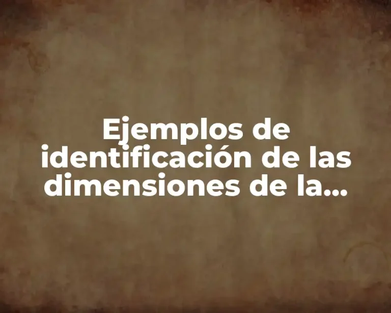 Ejemplos de identificación de las dimensiones de la política educativa