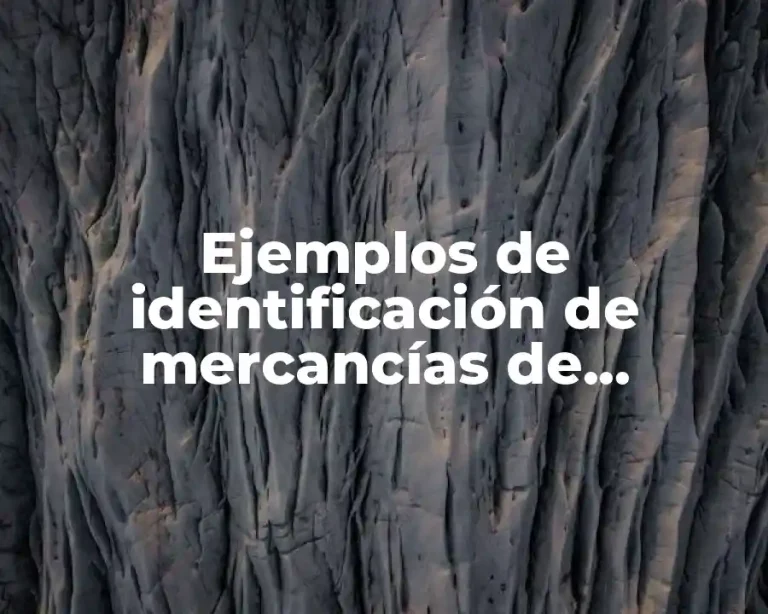 Ejemplos de identificación de mercancías de comercio exterior
