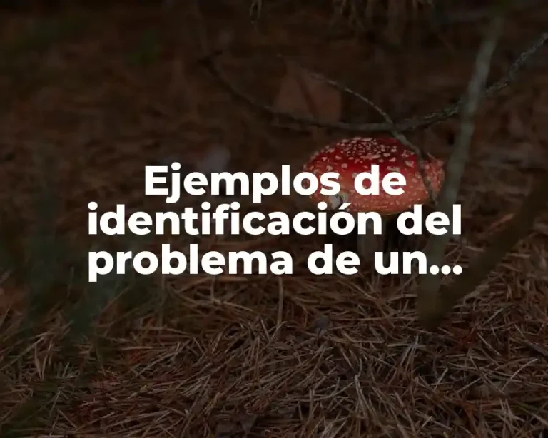 Ejemplos de identificación del problema de un proyecto