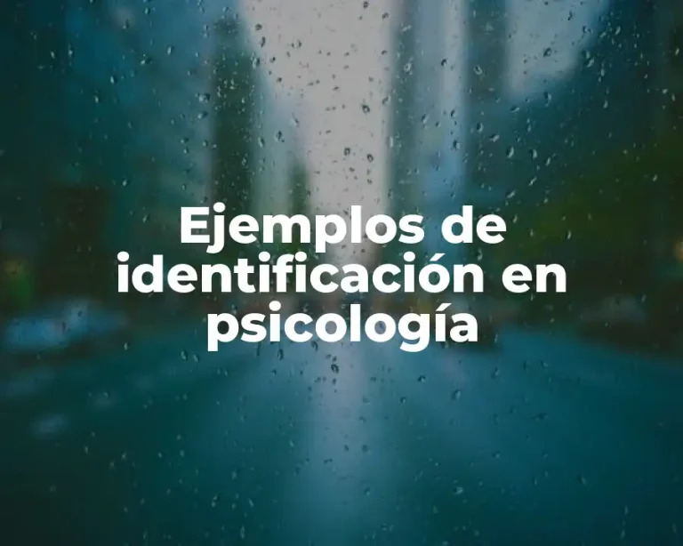 Ejemplos de identificación en psicología