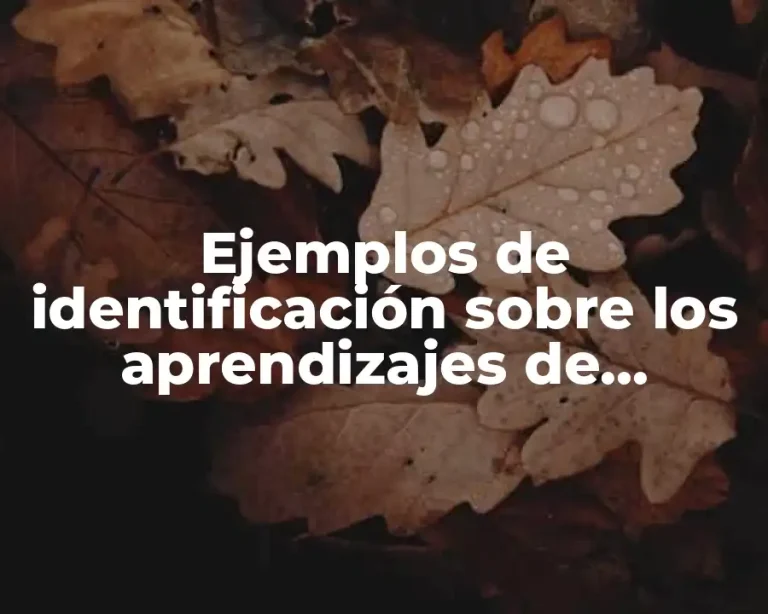 Ejemplos de identificación sobre los aprendizajes de lenguaje