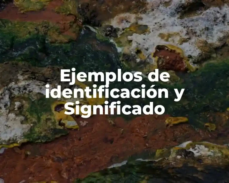Ejemplos de identificación y Significado