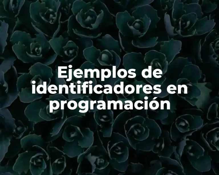 Ejemplos de identificadores en programación