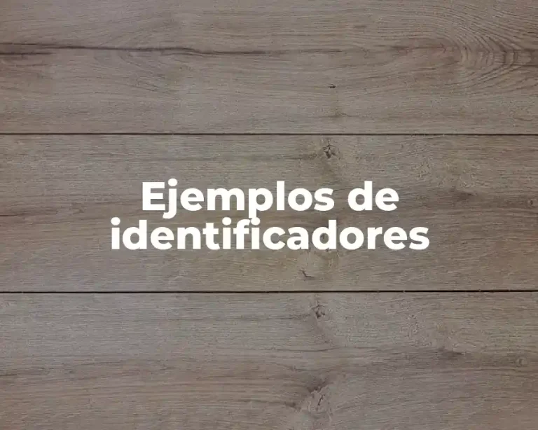 Ejemplos de identificadores