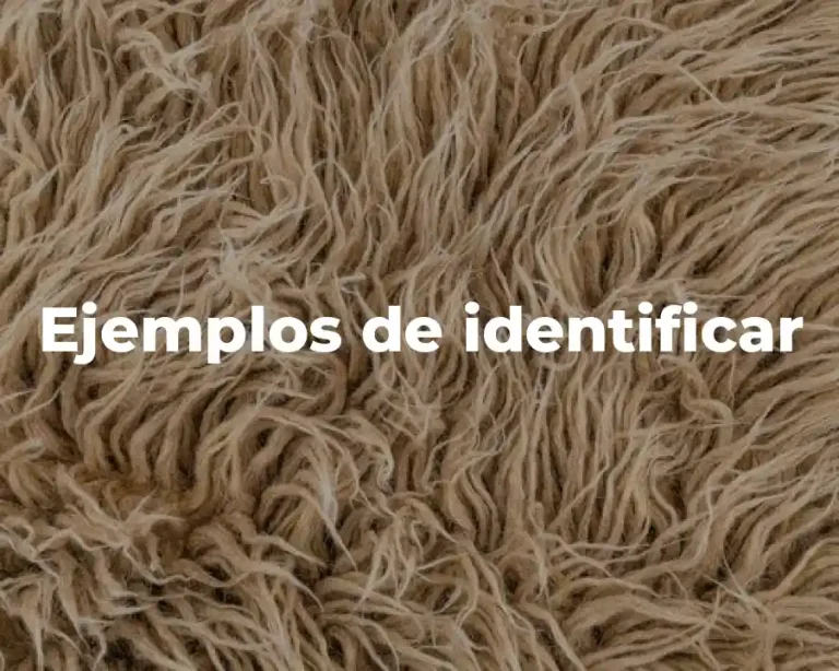 Ejemplos de identificar